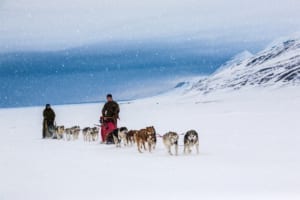 Dog Sled Tours in Alaska, Dog Sledding near Me