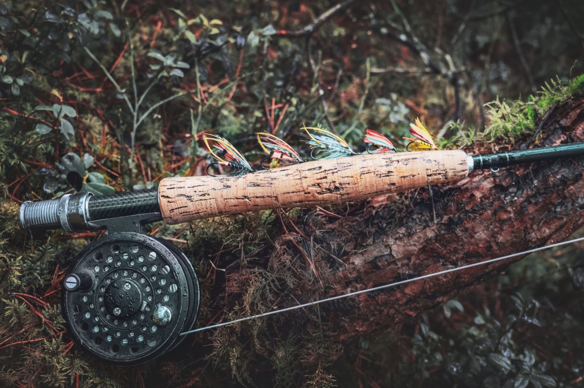 A freshly set up fly-rod rests upon the moss bed of an overhanging tree branch.